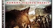 WIN A COPY OF WOLFTOWN ON DVD! It’s a SAFECRACKER PICTURES bonanza! As we are screening THE SLEEPER and THE BLEEDING HOUSE, both courtesy of Safecracker, on 23rd May at the Dancehouse Theatre, we are giving you the chance to win WOLFTOWN on dvd too! ‘A group...